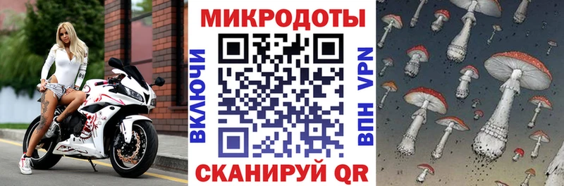 Галлюциногенные грибы GOLDEN TEACHER  ссылка на мегу сайт  Ельня  как найти наркотики 